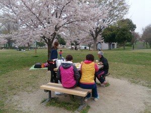 舎人公園でお花見ランチ