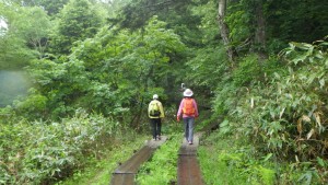 鳩待峠～山の鼻