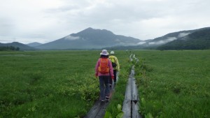 尾瀬ヶ原を燧ケ岳方面へ