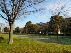 2016/01/13舎人公園は今シーズン初の氷点下の朝でした