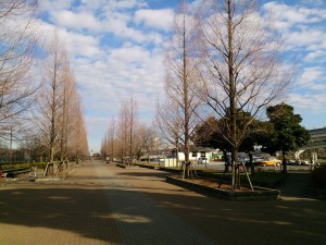 2016/02/03舎人公園は今日もいい天気