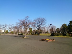 2016/02/17の舎人公園
