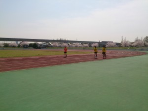 舎人公園陸上競技場で桜満開の中マラソン練習会
