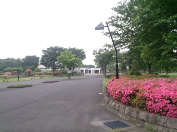 2016/05/25の舎人公園陸上競技場ではつつじが見頃