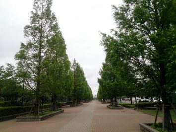 2016/06/15の舎人公園は霧雨が