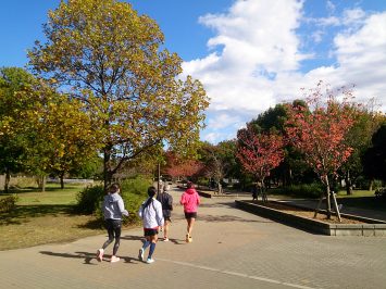 2016/11/09の舎人公園マラソン練習会3