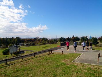 2016/11/09　舎人公園展望台から富士山バッチリ