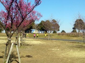 2017/02/01の舎人公園マラソン練習①