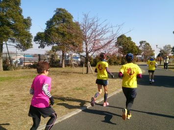 2017/02/01　舎人公園でもカワヅザクラが咲き始めていた