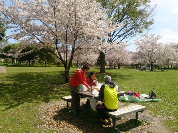 2017/04/12のランチも舎人公園でお花見1