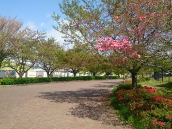 2017/04/19の舎人公園陸上競技場