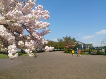 2017/04/19の颯走塾足立区舎人公園練習会1