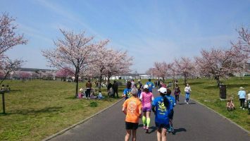 2017/04/05の颯走塾足立区舎人公園マラソン練習会5