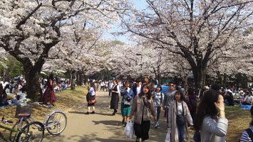 2018/03/28代々木公園にて花見1