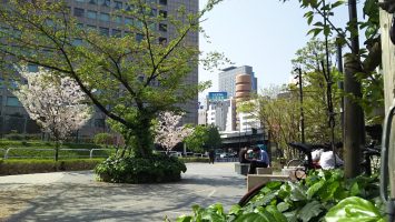 2018/04/04青空ランチ