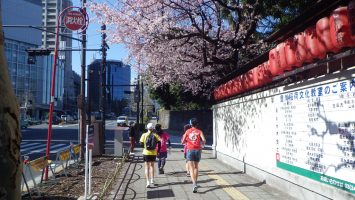 2019/03/13の颯走塾水曜マラソン練習会in東宮1