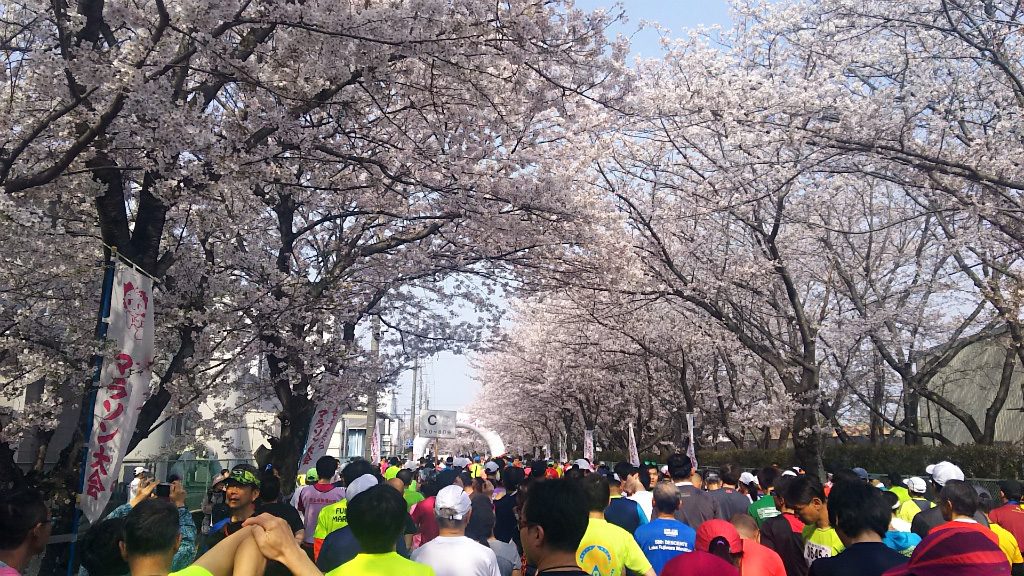 2019/04/07幸手市さくらマラソンにて2