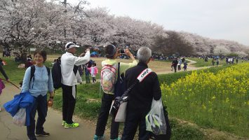 2019/04/07幸手桜まつりにて1