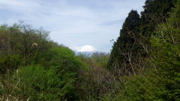 2019/05/03の颯走塾足柄峠走7