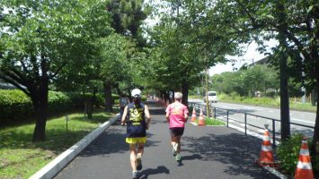 2019/06/26の颯走塾水曜マラソン練習会in皇居4