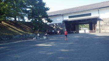 2019/11/06の颯走塾水曜マラソン練習会in皇居4