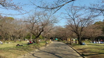 2020/03/18の颯走塾水曜マラソン練習会in織田フィールド9