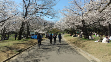 2020/03/25の代々木公園